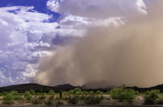 Пыльные и песчаные бури